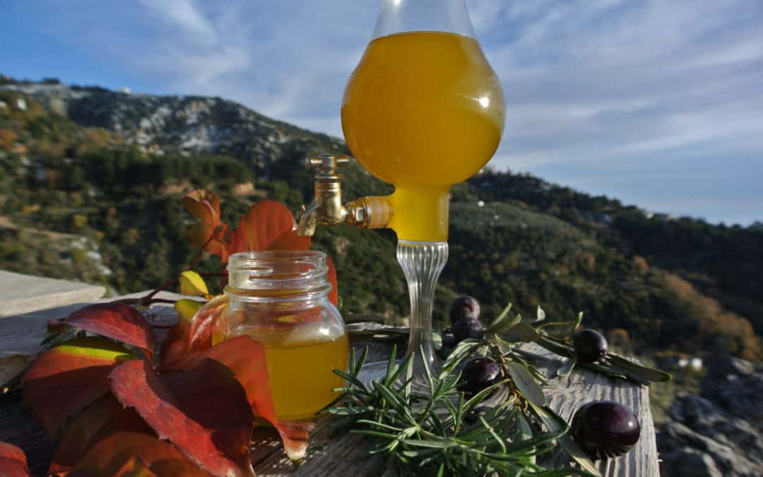 Elenolide discovered in Extra Virgin Olive Oil