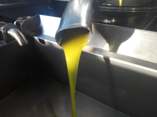 Myrolion New Harvest Olive Oil 2020. Organic Olive Oi. EVOO