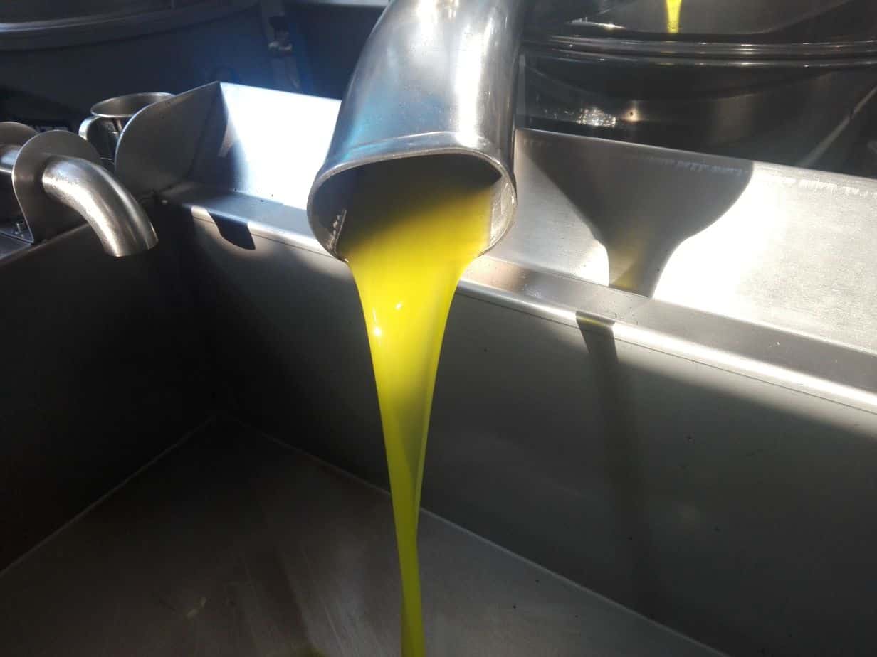 Myrolion Olive Oil 2021. Organic Olive Oil. Polyphenol rich EVOO