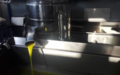 Enjoy Our Fresh Pressed Olive Oil – 2020 Certifications