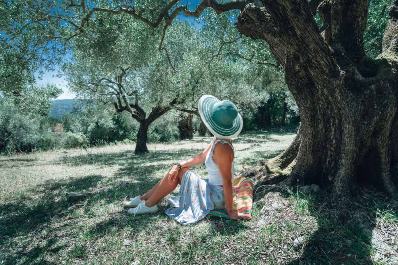 young woman with straw sun hat under an olive tree