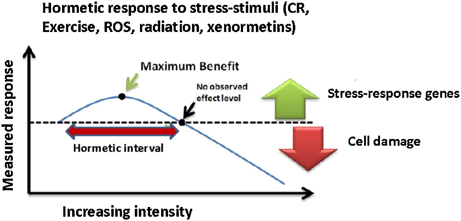 Hormetic response to stress stimuli