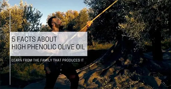 5 Facts About High Phenolic Olive Oil