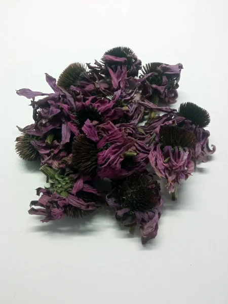 Dried organic echinacea blossoms in bulk