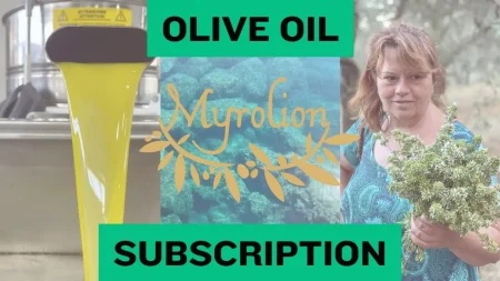 subcriptions video pop up image